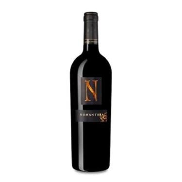 Imagem de Numanthia Toro Vinho Tinto 750ml