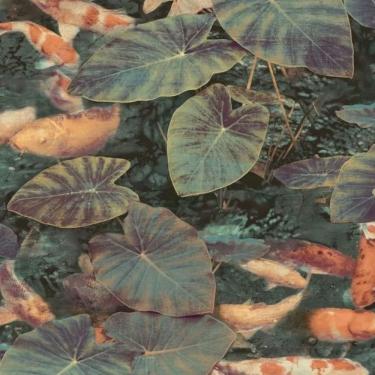 Imagem de Papel De Parede Wanderlust Folhagem Verde Wl2401