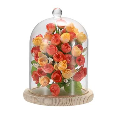 Imagem de JUXYES Exibição de Vidro Dome Cloche com Base de Madeira, Kit de Globo de Neve de Frasco de Esfera de Sino de Cloche de Vidro Transparente, Exibição de Frasco de Sino de Cloche de Globo de Neve de Vid