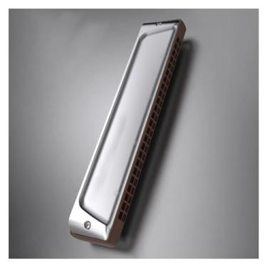 Imagem de Gaita profissional de 24 furos, oitava, cinza, plástico, gaita em C, instrumento, capa de aço inoxidável