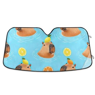 Imagem de Toldo de sol de carro azul capivaras brincalhão para-brisa engraçado dobrável caminhão carro persianas para janelas dianteiras automotivo retrátil S, 134,6 cm x 59,7 cm