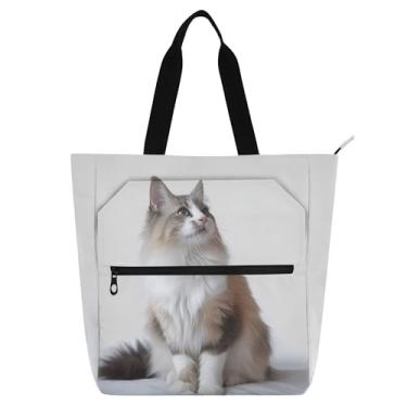 Imagem de GAIGEO Sacola fofa de gato Ragdoll para crianças, mulheres, professores, escola, trabalho, bolsa de lona com zíper