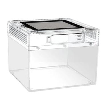 Imagem de IEUDNS Terrário de répteis Tanque de répteis Ventilação Caixa de reprodução transparente Habitat para tartarugas Escorpiões Lagartos Sapos com chifres, 20cmx20cmx15cm