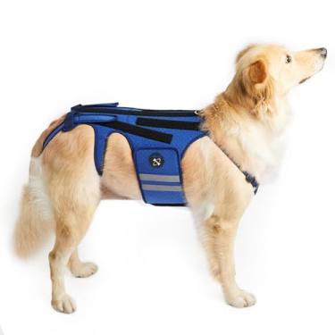 Imagem de COODEO Suporte para as costas de cães para artrite de cães, protetor traseiro para IVDD, protetor traseiro ajuda no alívio da dor, recuperação cirúrgica e reabilitação, prevenção de doenças nas costas