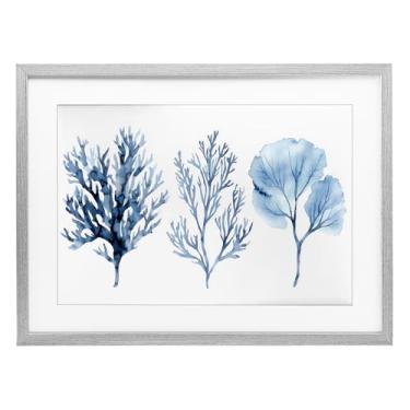 Imagem de Stupell Industries Blue Coral Types Impressão emoldurada cinza trio sob vidro, design por LSR Design Studio, 17 x 23