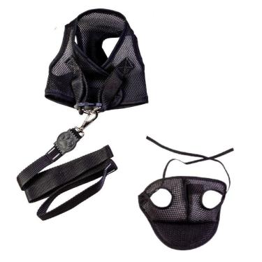 Imagem de Kit boné e coleira para cães - colete e boné aerado preto m