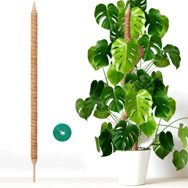 Imagem de Vanut Poste de musgo resistente de 152 cm para plantas grandes, estacas de plantas para plantas de interior altas, Monstera, videiras Pothos, filodendro, cacto espinha de peixe e plantas domésticas