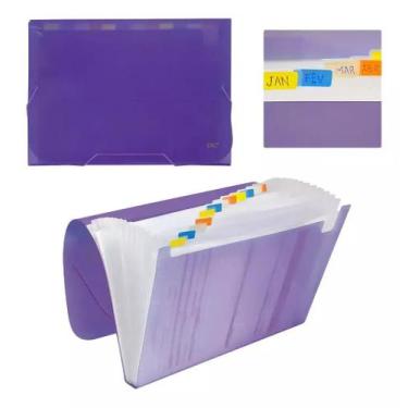 Imagem de Pasta sanfonada a4 12div dac lilas