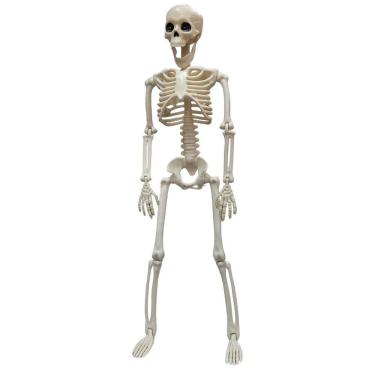 Imagem de Esqueleto Halloween Dia das Bruxas Festa Tematica Caveira Corpo Humano Ossos Decoraçao...