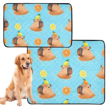 Imagem de TSENQUE Almofadas de xixi laváveis para animais de estimação, capivaras azuis, extra grandes, à prova d'água, almofadas de treinamento para penico, pequenas x 3 unidades