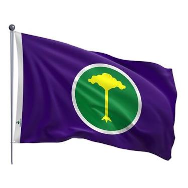 Imagem de Bandeira do Município de São Carlos Uma Face Estampada Tamanho 90x128c