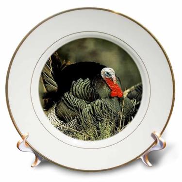 Imagem de 3dRose Wild Turkey Gobbler - Prato de porcelana, 20 cm, 20 cm, branco