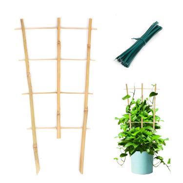 Imagem de Cambaverd Pacote com 3 treliças de bambu mínimas de 40,6 cm – Treliça de suporte para plantas com laços de torção para plantas de escalada, plantas em vaso Hoya, plantas de casa, videira