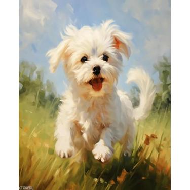 Imagem de XTXGERL Pintura por números para iniciantes maltês pintura por número para adultos DIY pintura digital para iniciantes decoração de parede presente de desenho, 40 x 50 cm