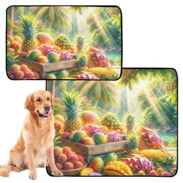 Imagem de Almofada de urina para animais de estimação com frutas tropicais de verão, reutilizáveis, laváveis para cães, tapete impermeável, antiderrapante, absorvente para treinamento de filhotes, médio +