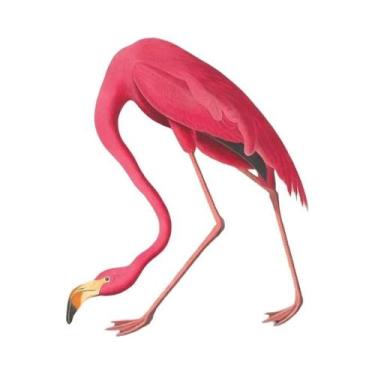 Imagem de Arte De Parede Moderna Para Sala De Estar: Impressões Em Tela De Estra