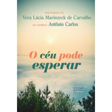 Imagem de Livro - O céu pode Esperar