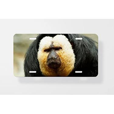 Imagem de Pithecia Pithecia também conhecido como Golden Face Saki Macaco Capa para placa de carro – Capa para placa de carro – Capa para placa de carro 15 x 30 cm