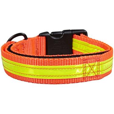 Imagem de Co-Leash Coleira e guia All-in-One Night Lite - Laranja - 15-18"