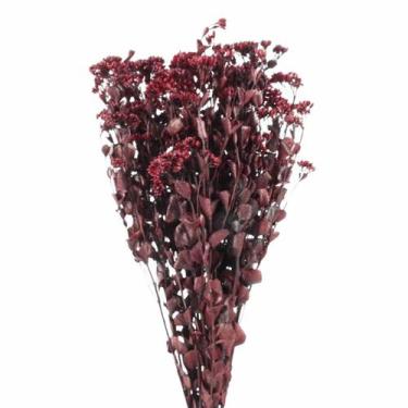 Imagem de Chuvisco Vermelho Flor Desidratada Buque Flores Secas - Pense Flores