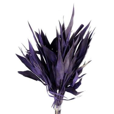 Imagem de Capim Navalha Folha André Quice Roxa - Pense Flores