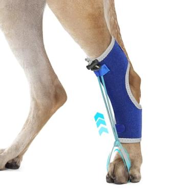 Imagem de GoGoPaw Suporte para articulações para cães para hiperflexão de falanges causadas por danos no nervo ciático e deformidade flexural do carpo - tiras de bloqueio duplas para suporte seguro e ajustável