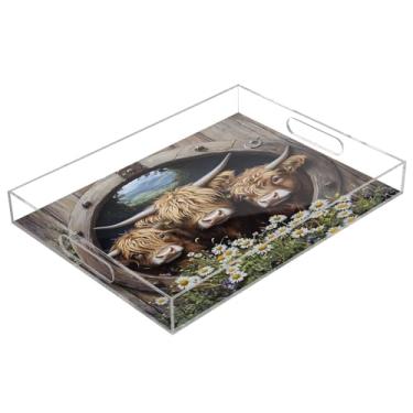 Imagem de STAYTOP Linda bandeja de servir de acrílico Highland Cow 15,7 × 11,20 cm, bandejas decorativas à prova de derramamento, organizador de bancada para café da manhã, chá, comida, maquiagem