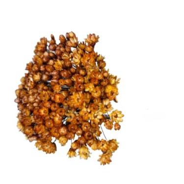 Imagem de Buque de Flores Artificiais Sempre Viva - Kit com 1.600 Flores, Tipo 1 Extra, Arranjo Decorativo para Presentes e Decoração(Dourada,2 buquês (400 florzinhas))