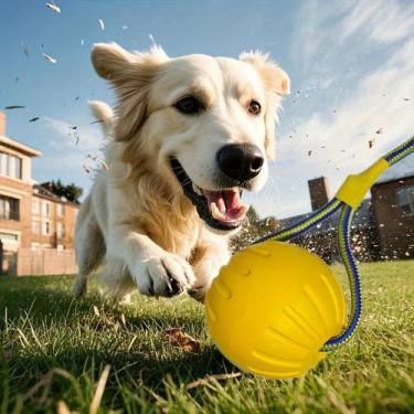 Imagem de Bola De Brinquedo Para Cães Em EVA Durável Com Disco Flutuante, Anel D