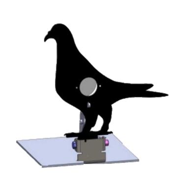 Imagem de Field Target Pombo Miramar