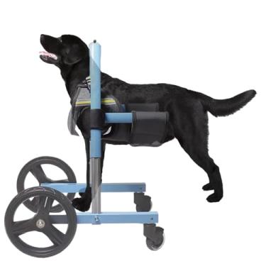 Imagem de Cadeira de rodas ajustável para cães com perna dianteira - auxílio de mobilidade de amputados, andador de animais de 2 rodas para maior suporte e mobilidade para cães, perfeito para recuperação e uso