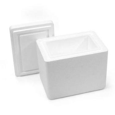 Imagem de KIT TÉRMICO EPS 04L | 2°C À 8°C | 2 TS400 + 2 Separadores