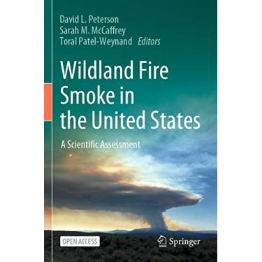 Imagem de Wildland Fire Smoke in the United States: A Scientific Assessment