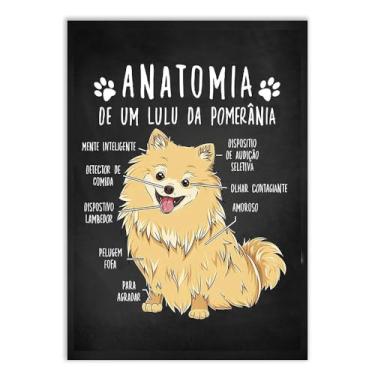 Imagem de Placa Decorativa Engraçado Cachorro Anatomia Raça Spitz Lulu Da Pomerânia