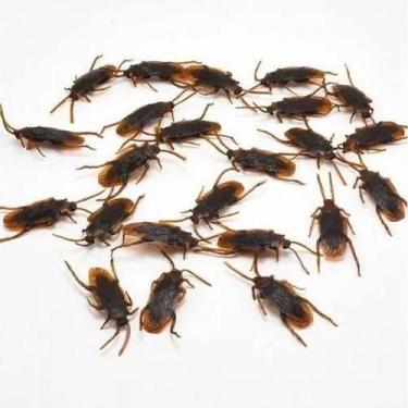 Imagem de Kit 25 Baratas Plástico Inseto 5cm Decoração Pegadinha - CM Presentes 
