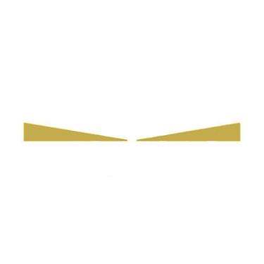 Imagem de Aplique Inferior Aerofólio Para Volvo New FH Dourado - Venka