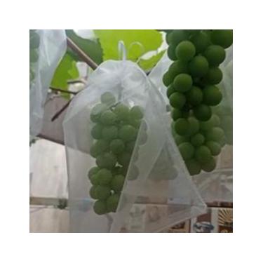 Imagem de 50 Sacos Para Proteção Frutas No Pe Lavável  12 X 17 cm - OKABOX