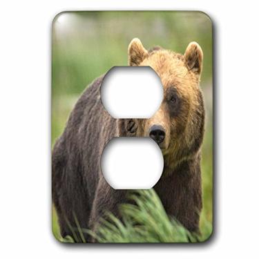 Imagem de 3dRose (lsp_258648_6) Capa de tomada de 2 plugues Um urso marrom do Alasca olha atentamente para a câmera