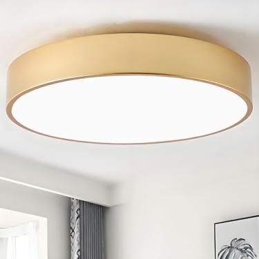 Imagem de Mivenda Luminária de teto moderna, luminária de teto dourada com 3 luzes, luminária de teto minimalista para quarto, lavanderia, banheiro, corredor (15,8 polegadas)