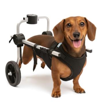 Imagem de Cadeira de 2 Rodas Para Cachorro Tam P com Colete Preto Regulável Pata Traseira Paraplegia Reabilitação Paralisia Idoso Pet Best Soluções