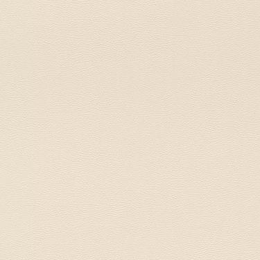 Imagem de Papel De Parede African Queen Iii Couro Bege 752625