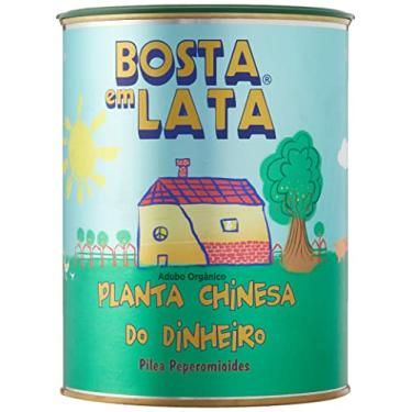 Imagem de Fertilizante Orgânico Bosta em Lata Pilea Planta Chinesa do Dinheiro - 500 G