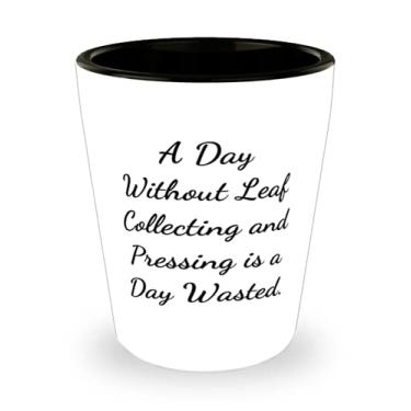 Imagem de Lindas folhas para colecionar e pressionar presentes, um dia sem folhas, coletar e pressionar é um dia, copo perfeito para fotos de homens e mulheres