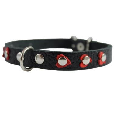 Imagem de Coleira de couro para cães, tachas de coração. 28 cm x 1/5.1 cm de largura. Serve para pescoço de 20 a 25 cm, Yorkshire Terrier, filhotes de cachorro