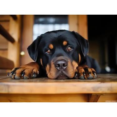 Imagem de UPABLUNSO Kits de pintura de diamante rottweiler de cachorro fofo 5D Rottweiler em madeira para adultos, artesanato e artes de cristal de broca completa, para decoração de parede de casa presentes