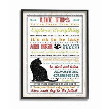 Imagem de The Stupell Home Decor Collection Dicas de vida para animais de estimação de gatos emoldurado Giclee arte texturizada 28 x 35 cm multicolorido