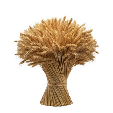 Imagem de Hastes Trigo Seco Para Decoração Elegante Convites Casamento Arranjos Artesanato Ramo Maços Ceia, Wedding Venues & Home Altars, Long-Lasting Beauty Without Care(200)