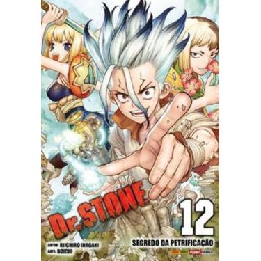 Imagem de Dr. Stone - Vol. 12 - PANINI, Sortido