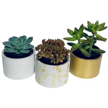 Imagem de Kit com 3 Vasos Decorativos em Cimento para Suculentas e Plantas Pequenas – 7cm de Diâmetro (Cinza e dourado)
