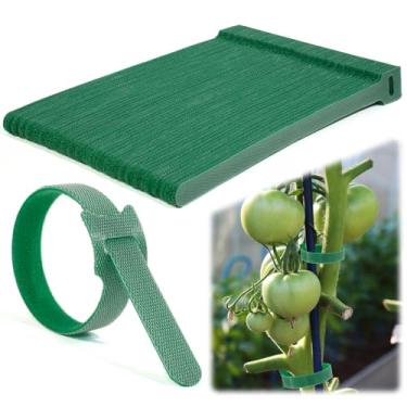 Imagem de AHFCANG Abraçadeiras De Jardim Com Velcro, Fita Para Plantas Trepadeiras, Ajustáveis Nylon Verde 8 Polegadas E Jardinagem, Casa Escritório (100 Peças)